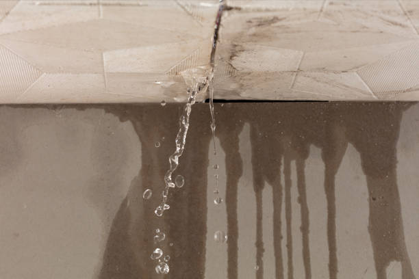 Professional Burst Pipe Cleanup technician working in Oneonta, NY